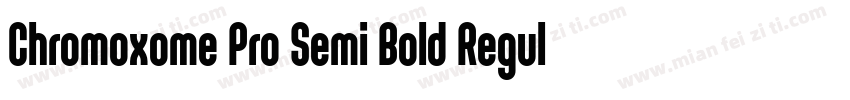 Chromoxome Pro Semi Bold Regular字体转换
